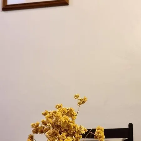 Apartamento Cálido Rincón Posadas Exterior foto